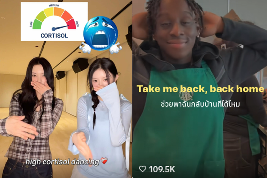 Vì sao 'Ai đưa em về' bất ngờ gây sốt trở lại trên mạng xã hội?