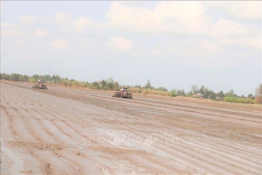 Gỡ 'nút thắt' liên kết trong Đề án 1 triệu ha lúa chất lượng cao