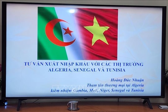 Cơ hội để doanh nghiệp Việt Nam xúc tiến xuất khẩu sang thị trường châu Phi