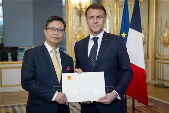 Đại sứ Việt Nam Trịnh Đức Hải trình Quốc thư lên Tổng thống Pháp Emmanuel Macron