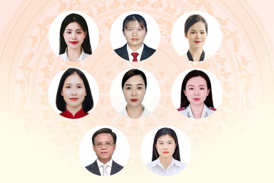 8 đại biểu dưới 35 tuổi trúng cử Quốc hội khóa 16