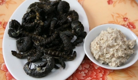 Con vật nhìn "sợ phát khóc" ở Tây Bắc xưa không ai ngó, nay thành món lạ, dân nhậu săn lùng