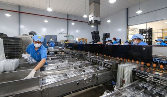 Doanh nghiệp xoay xở ra sao trước sức ép chi phí? (*): Chủ động tái cấu trúc