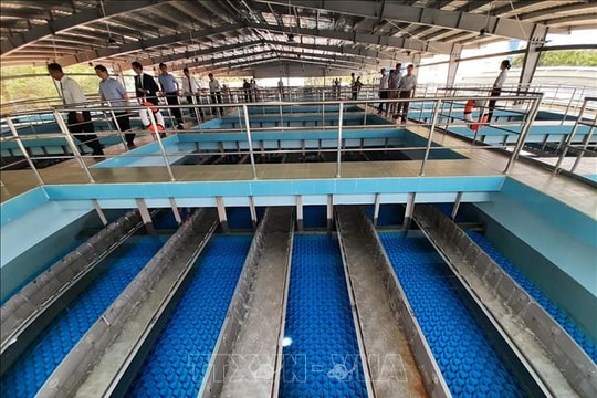 TP Hồ Chí Minh: Nhà máy nước bảo trì, ngừng cấp nước tạm thời nhiều khu vực