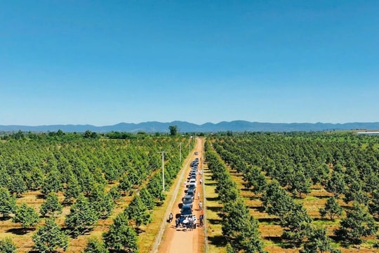 Công ty của bầu Đức đặt kế hoạch lãi kỷ lục 4.200 tỷ đồng