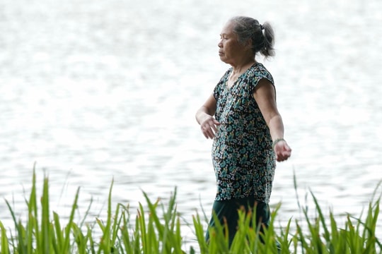 Đi bộ 10.000 bước giúp tiêu hao bao nhiêu calo?