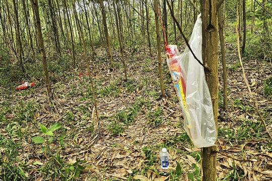 Con rể nổ súng, truy sát bố mẹ vợ