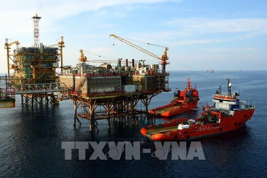 Học giả Italy đánh giá cao chiến lược bảo đảm an ninh năng lượng của Việt Nam