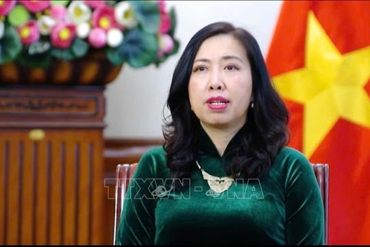 Tham vấn chính trị cấp thứ trưởng ngoại giao Việt Nam-Ireland