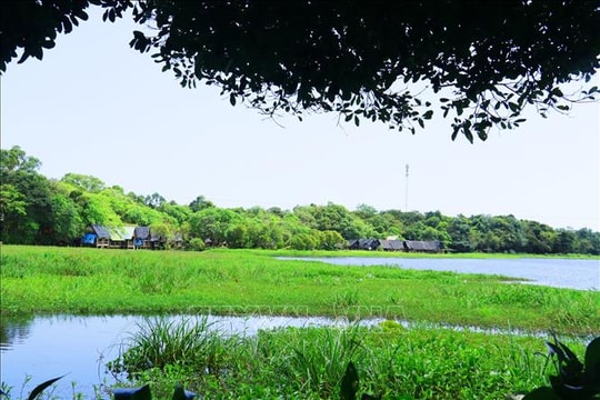 Đánh thức tiềm năng du lịch trằm Trà Lộc