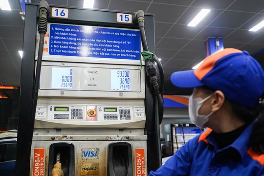 Ngân sách tạm ứng 8.000 tỷ đồng cho Quỹ bình ổn giá xăng dầu