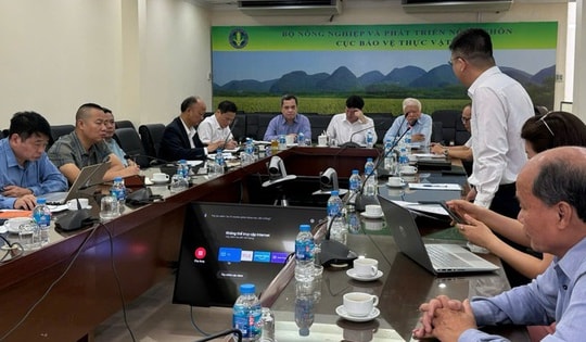 Căng thẳng Trung Đông, nhiều nhà máy phân bón vận hành hết công suất, giữ giá bán hợp lý