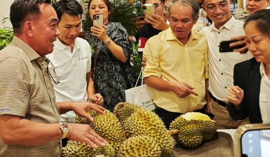 Công ty của bầu Đức tính trồng thêm 700 ha sầu riêng