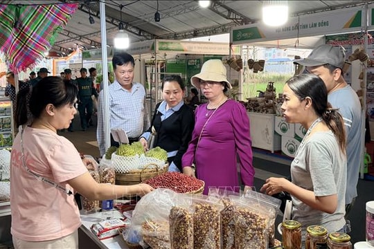 Để kinh tế tư nhân thành đòn bẩy cho đất '9 Rồng'