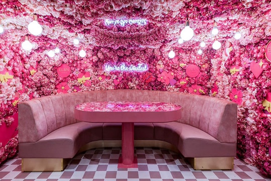 Quán cà phê 'đẹp nhất Instagram' bị chấm điểm vệ sinh thấp