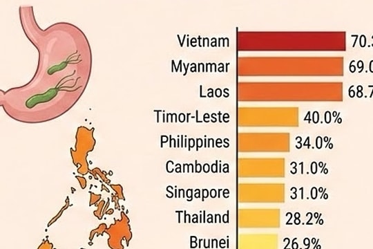 Hơn 70% người Việt nhiễm HP, ung thư dạ dày nhiều nhất Đông Nam Á