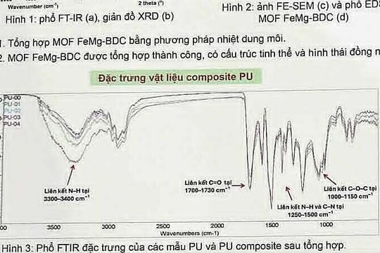 Giải nhất khoa học kỹ thuật của học sinh bị tố giống luận án tiến sĩ
