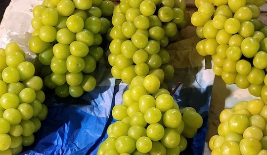 Việt Nam chi hàng trăm triệu USD nhập khẩu nho tươi Trung Quốc