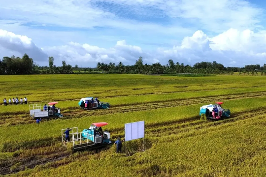 Doanh nghiệp, hiệp hội chung tay giữ nhịp sản xuất nông nghiệp