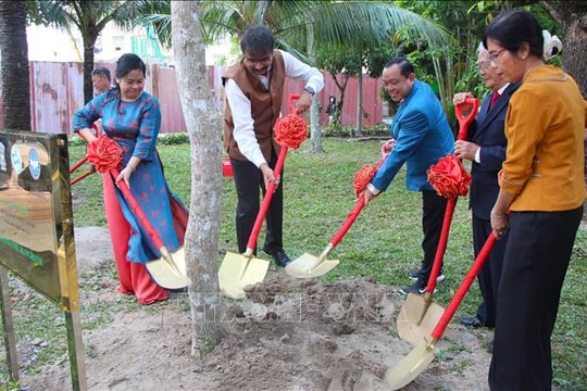 Trồng cây hữu nghị ở Cần Thơ, hướng đến tương lai xanh và bền vững