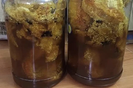 Đau xương khớp có nên uống rượu thuốc?