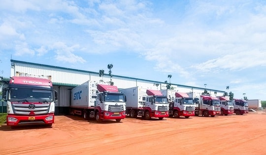 THILOGI tối ưu giải pháp chuỗi lạnh cho trái cây tươi xuất khẩu