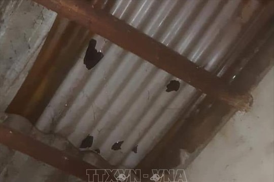 Cao Bằng: Mưa đá gây hư hại 743 mái nhà dân và 38ha hoa màu