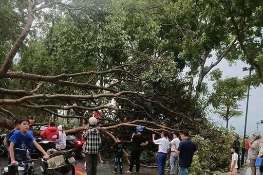 Chủ động ứng phó dông, lốc, sét, mưa đá trong thời kỳ chuyển mùa