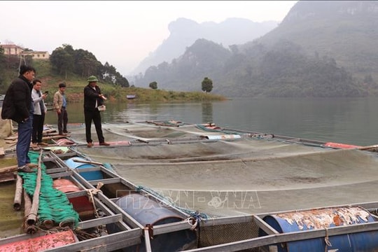 Nông dân thu hàng trăm triệu đồng từ những mô hình kinh tế mới