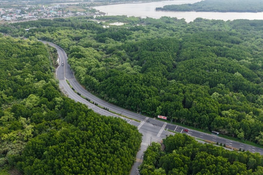 Hôm nay đóng cổng đăng ký sớm VM Green Paradise Cần Giờ