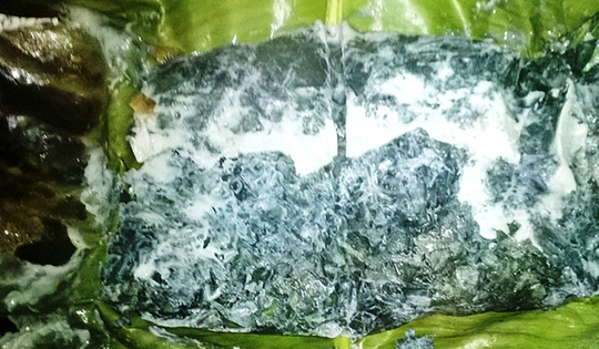 Loại lá mọc dại bờ rào được xem là "bảo bối" cho hệ tiêu hóa