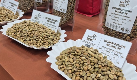 Giá cà phê hôm nay 31-3: Bị bán tháo mạnh ngay đầu tuần