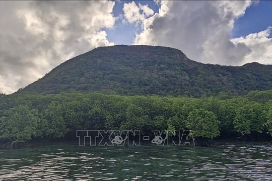 Việt Nam nhận gần 72 triệu USD hỗ trợ tài chính xanh