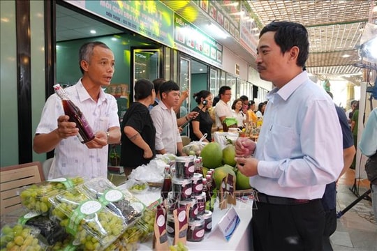 Đa dạng sản phẩm từ nghề trồng nho để hút khách du lịch