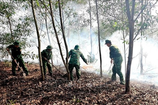 Kịp thời dập tắt cháy rừng ở khu vực biên giới biển