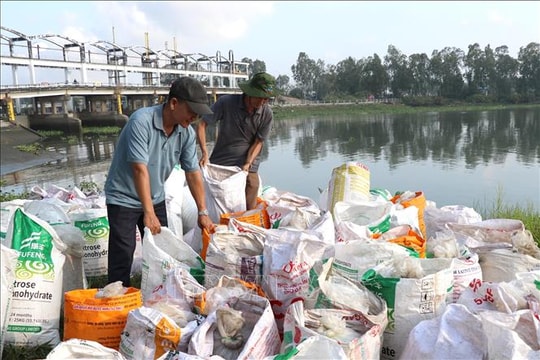 Thả hàng triệu con giống tái tạo nguồn lợi thủy sản