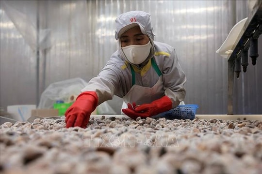 Điểm tin kinh tế Việt Nam nổi bật ngày 1/4/2026