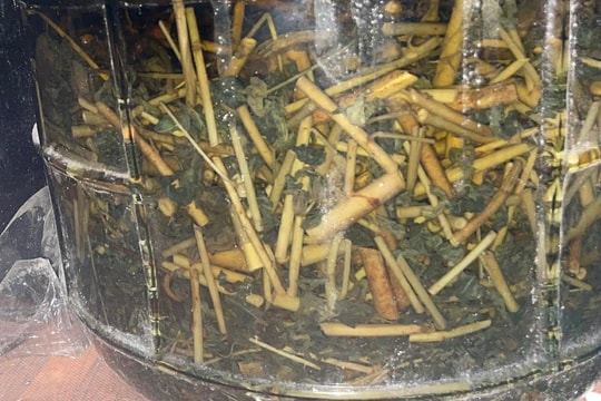 Lầm tưởng uống rượu thuốc để bổ dương