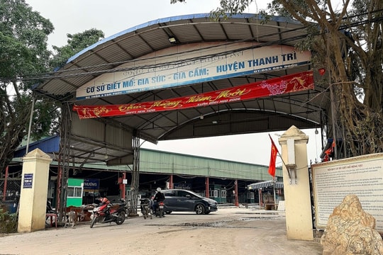 Chiêu 'vòi tiền' của cán bộ kiểm dịch thú y, tiếp tay tiêu thụ 3.600 con lợn bệnh