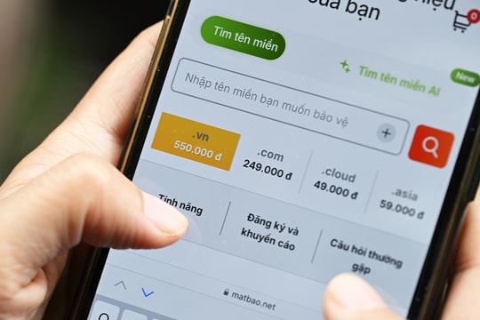 Tên miền '.vn' sẽ cấp phát tự do sau hai lần đấu giá không thành