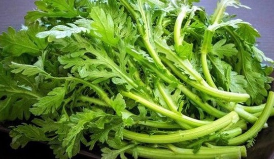 Loại rau là "món ăn của Hoàng đế", hương thơm độc đáo, tươi mát