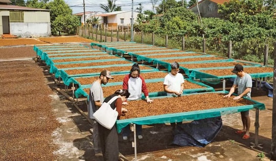 CÚ HÍCH NĂM DU LỊCH QUỐC GIA: Định hình bản sắc du lịch liên vùng