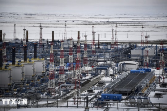 Nga gia hạn lệnh cấm xuất khẩu xăng đến hết tháng Bảy