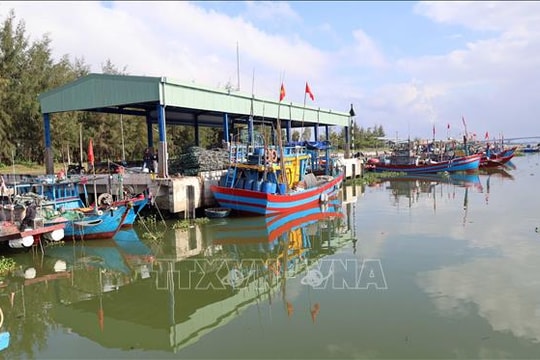 Phản hồi thông tin TTXVN: Cảng cá Hồng Triều sẽ sớm có đơn vị quản lý, vận hành