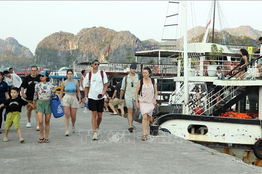 VITM 2026 mở rộng kết nối doanh nghiệp làm dịch vụ, mở rộng thị trường quốc tế