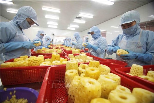 EU siết tiêu chuẩn an toàn thực phẩm: Nông sản Việt trước áp lực tuân thủ toàn diện