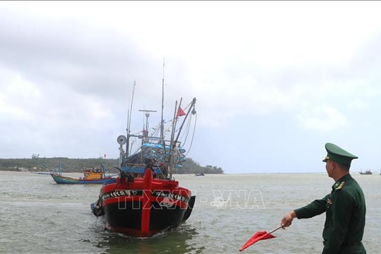 Quảng Ngãi chuẩn hóa dữ liệu, bịt kín 'kẽ hở' trong quản lý tàu cá