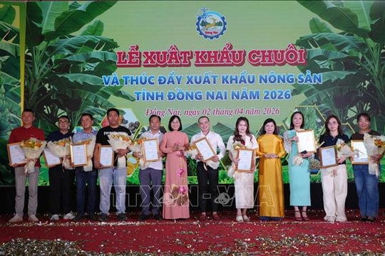 Đồng Nai xuất khẩu 220 tấn chuối ra các thị trường quốc tế