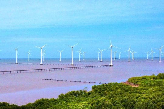 Dự án điện gió ngoài khơi, hydrogen xanh được bán tới 90% tín chỉ carbon