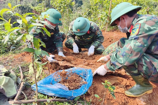 Phát động 500 ngày đêm quy tập và xác định danh tính liệt sĩ